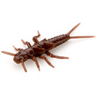Stonefly 0.75" Chaos